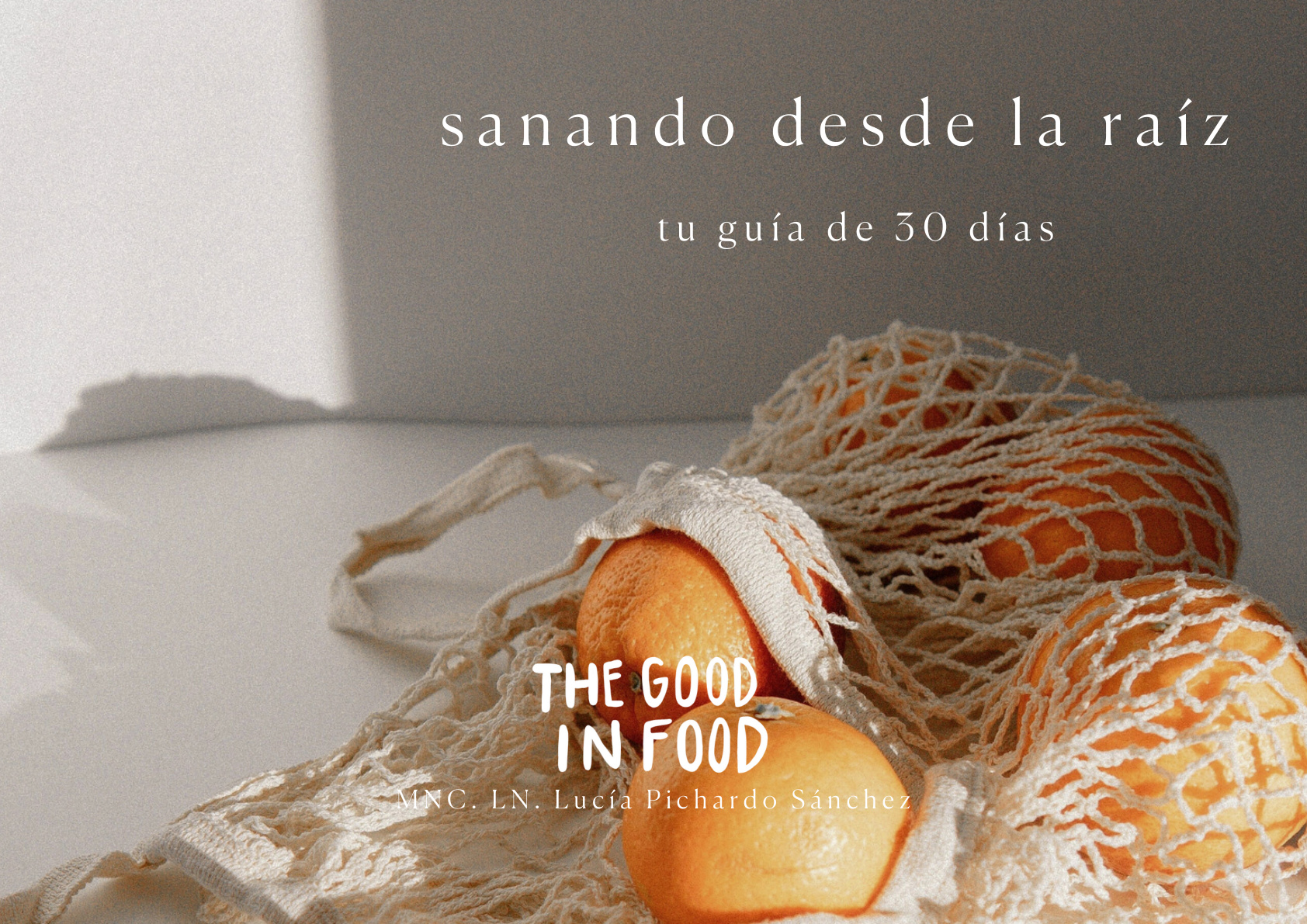 Preview guía Sanando desde la Raíz