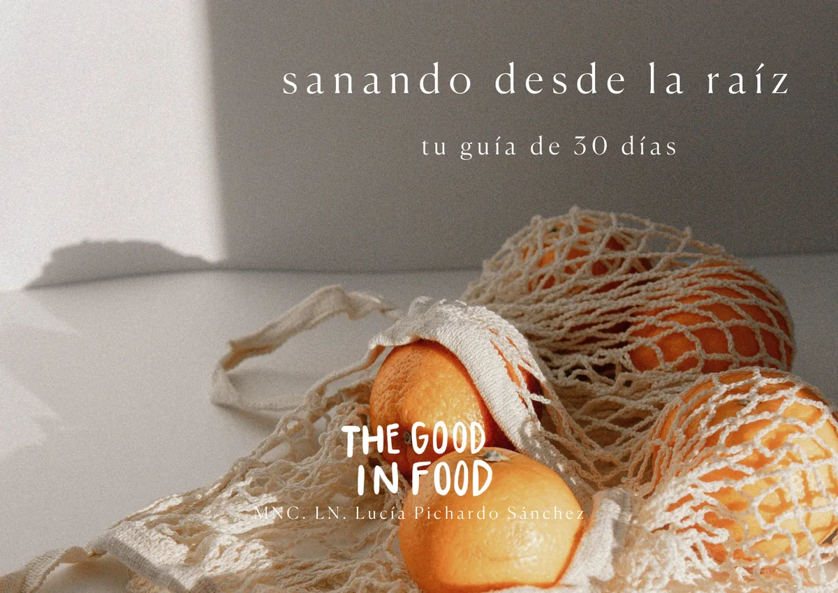 Preview guía Sanando desde la Raíz